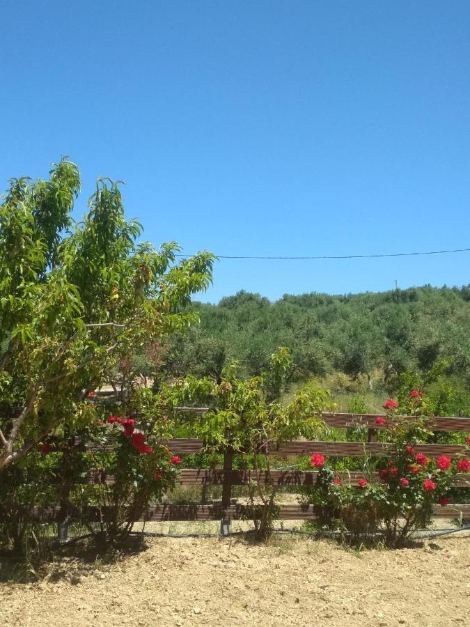 Eden Garden Villa Near Knossos Skalanion Екстериор снимка