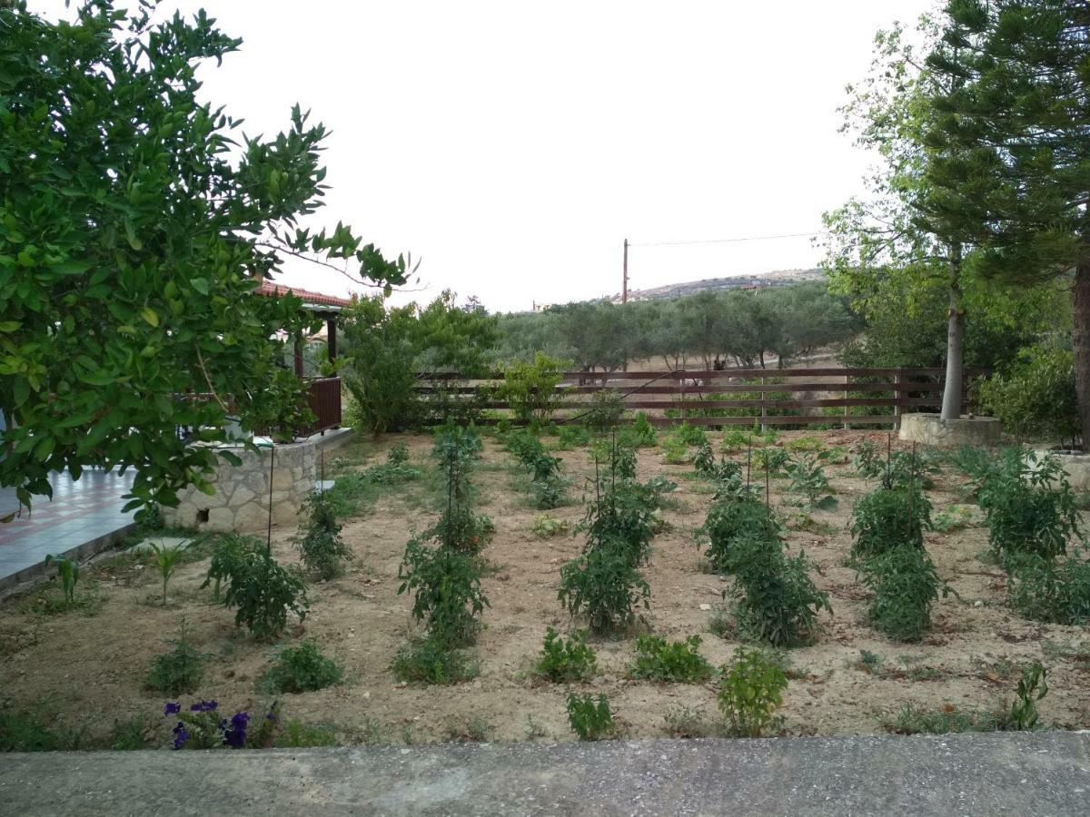 Eden Garden Villa Near Knossos Skalanion Екстериор снимка